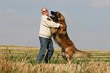 ADULTE ET CHIEN 297